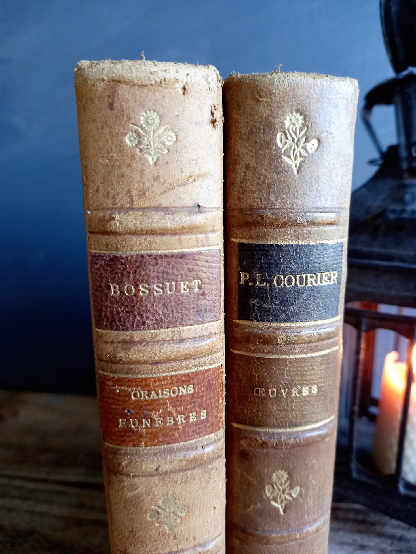Antique books. Victorian books. French antique books.