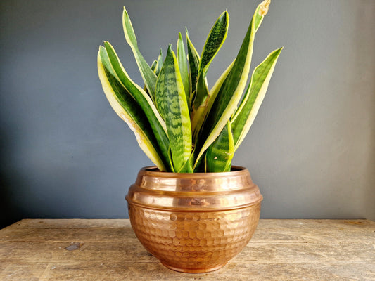 French vintage copper planter. French copper jardinaire.