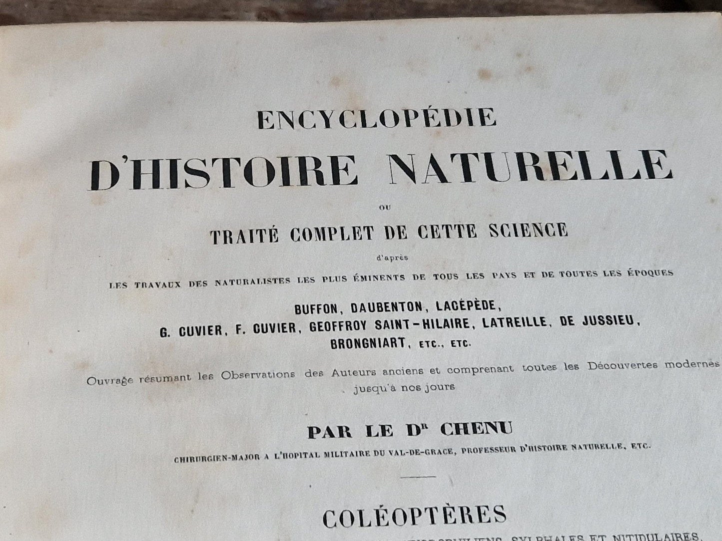 French antique natural history book of coleopterology (beetles)