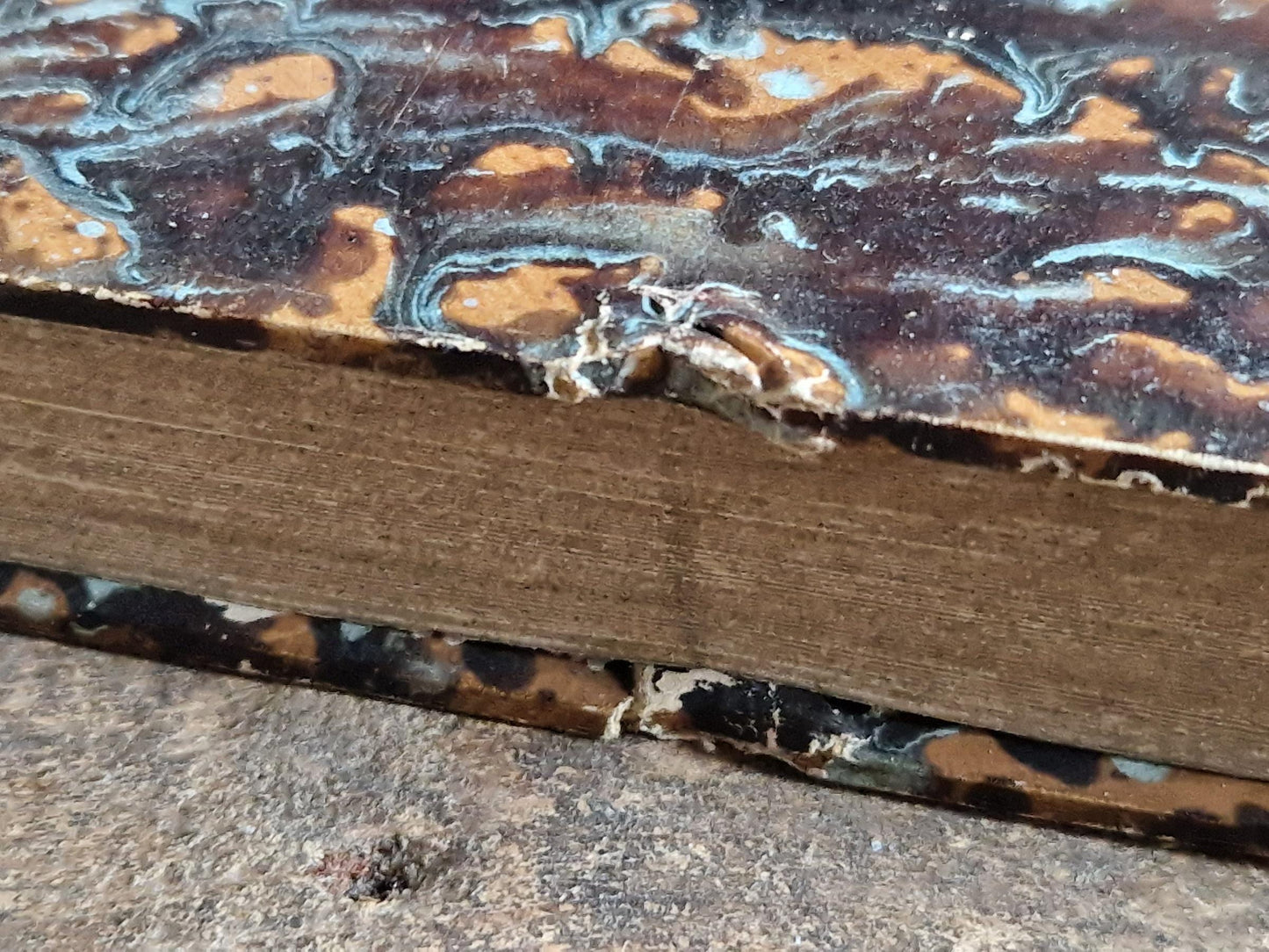 French antique natural history book of coleopterology (beetles)