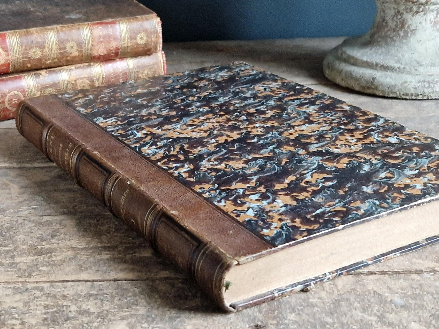 French antique natural history book of coleopterology (beetles)