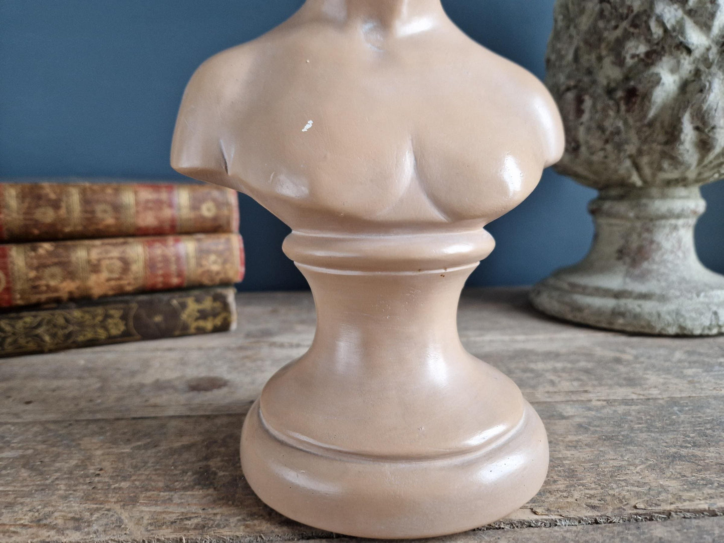 French antique plaster bust of a lady.