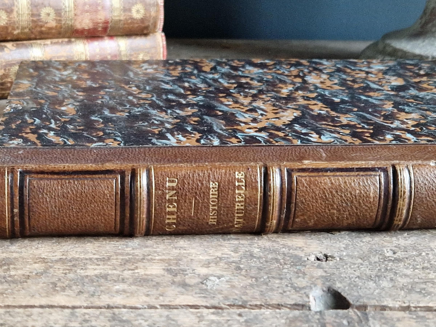 French antique natural history book of coleopterology (beetles)