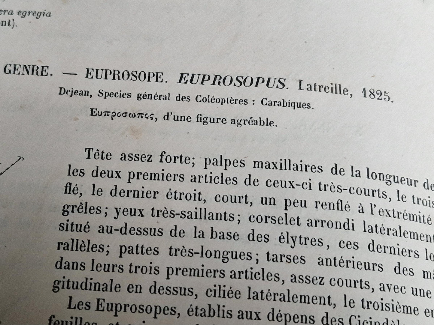 French antique natural history book of coleopterology (beetles)